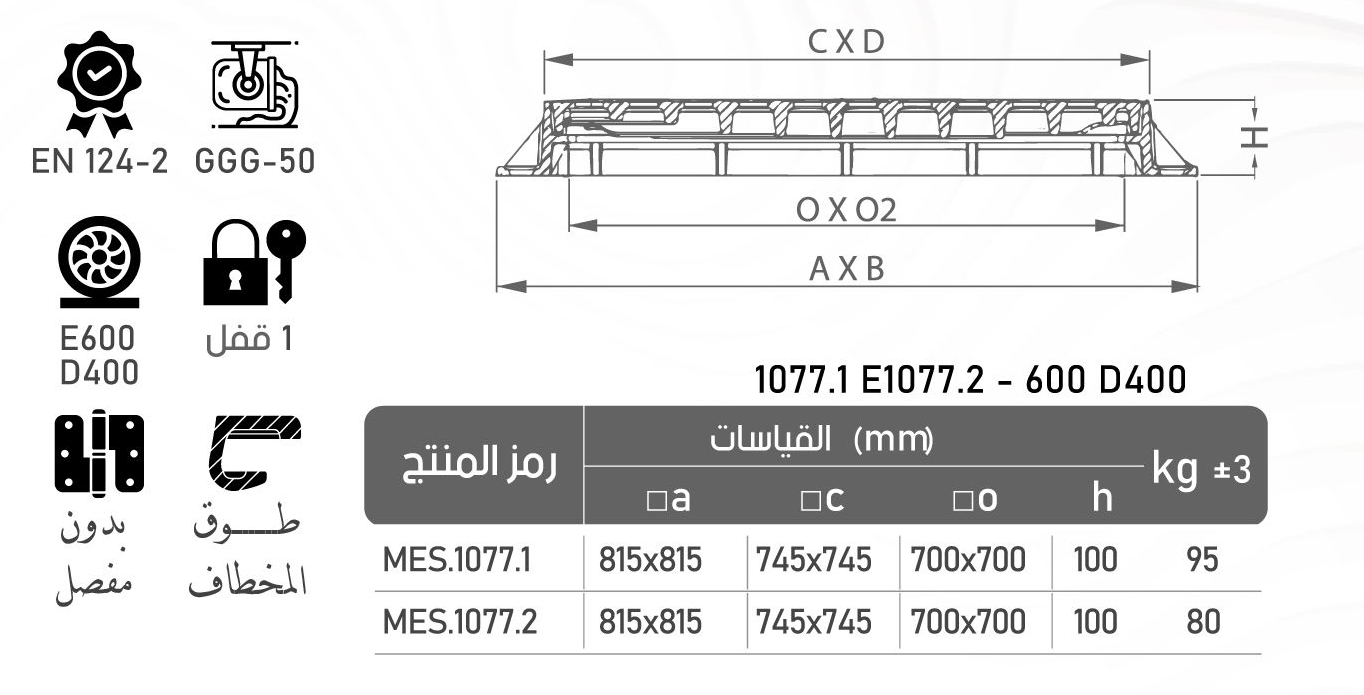 MES1077 cat 6185d0f3