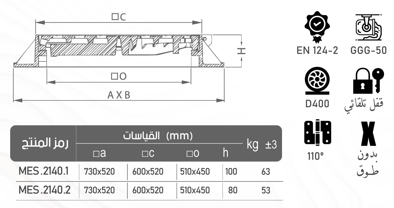 MES2140.1 cat 9b6a310a