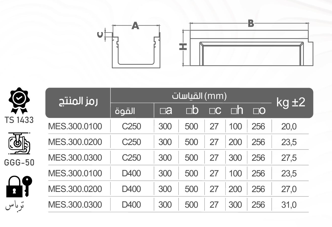 MES300.0300 cat a0b560b2
