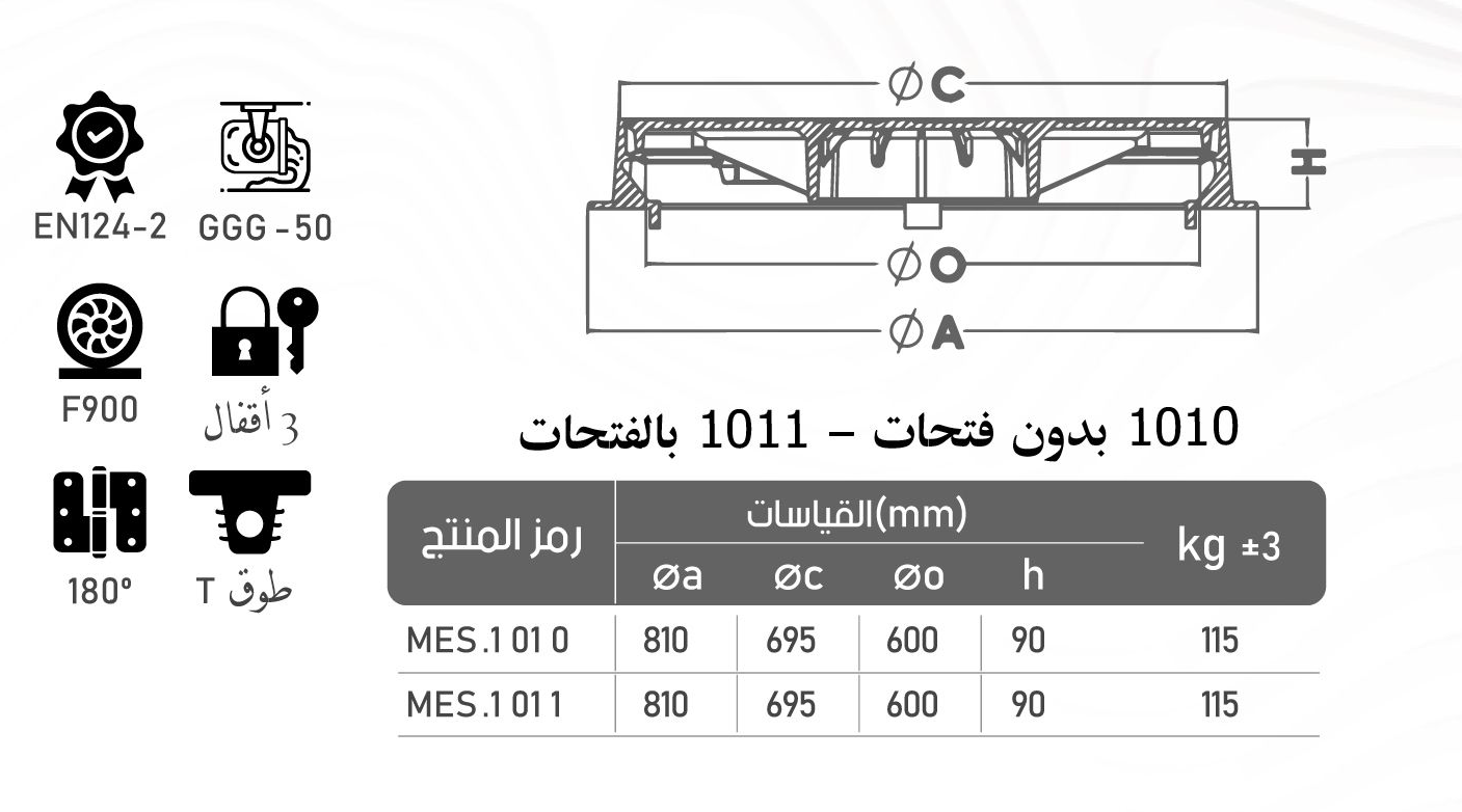 MES1010 cat ce2520ce