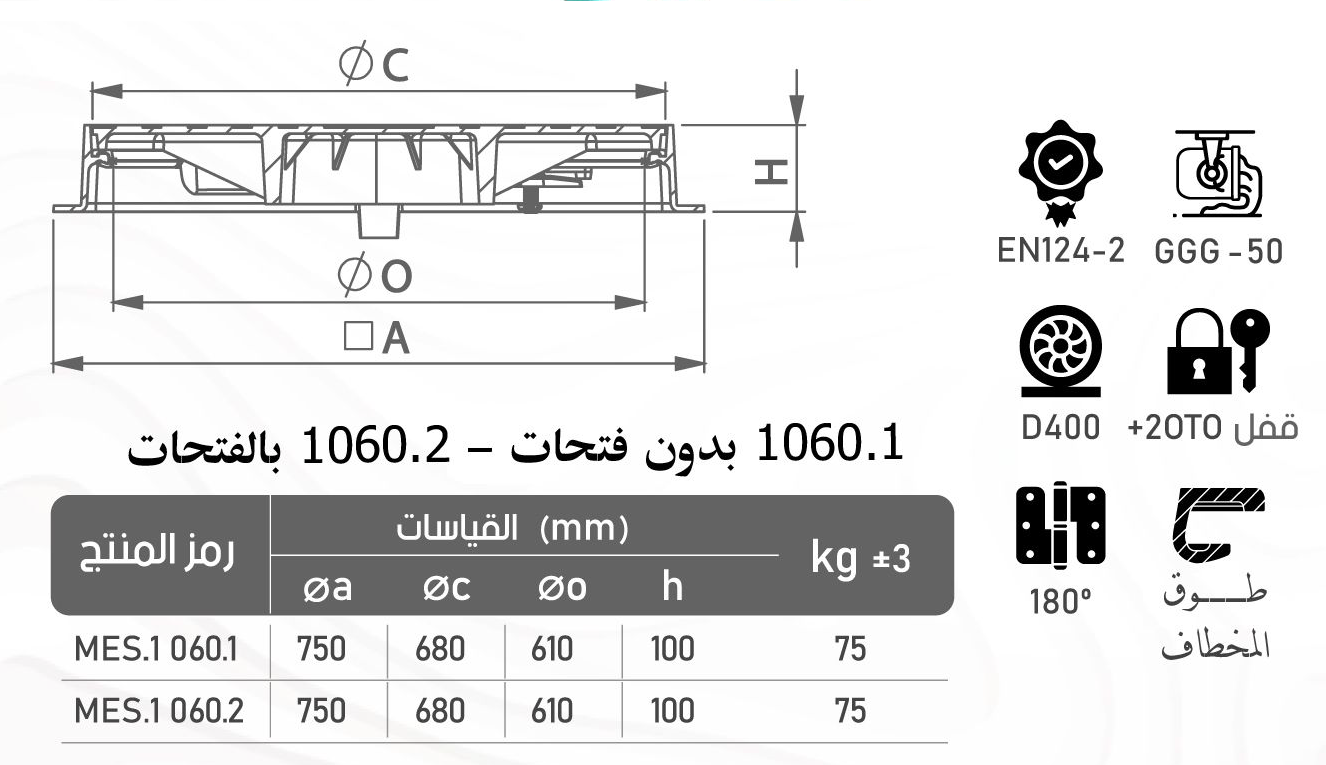 MES1060.1 cat f6b0900d